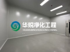 ʲô�и������